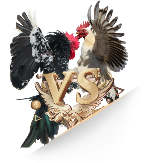 OKVIP Tuyển dụng