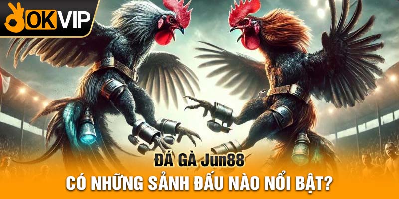 Đá gà Jun88 có những sảnh đấu nào nổi bật?
