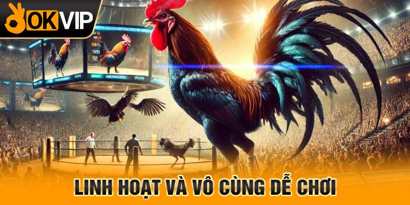 Linh hoạt và vô cùng dễ chơi