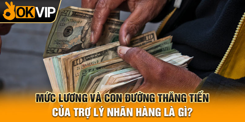 Mức lương và con đường thăng tiến của trợ lý nhãn hàng là gì?
