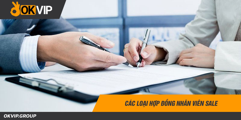 Các loại hợp đồng nhân viên sale