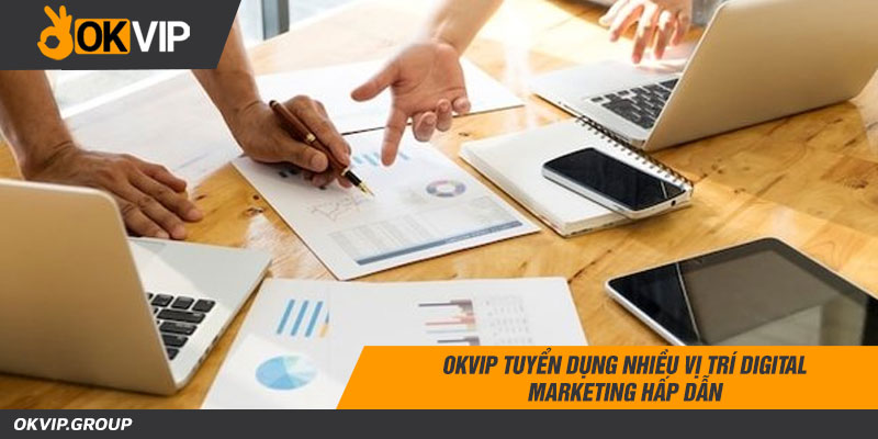 OKVIP tuyển dụng nhiều vị trí digital marketing hấp dẫn