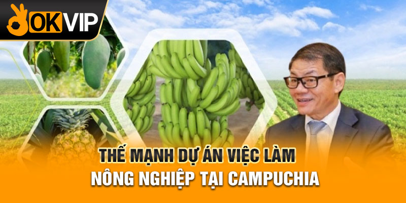 Thế mạnh dự án việc làm nông nghiệp tại campuchia