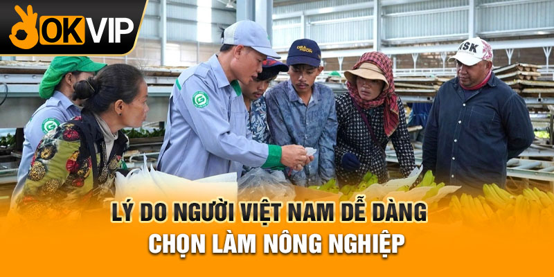 Lý do người Việt Nam dễ dàng chọn làm nông nghiệp