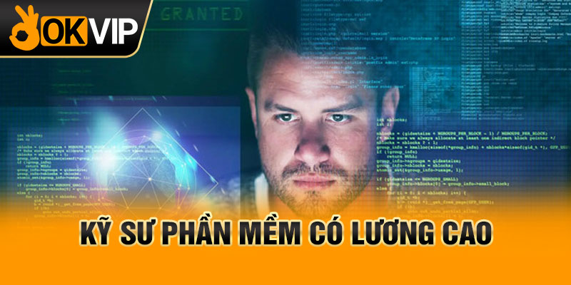 Kỹ sư phần mềm có lương cao