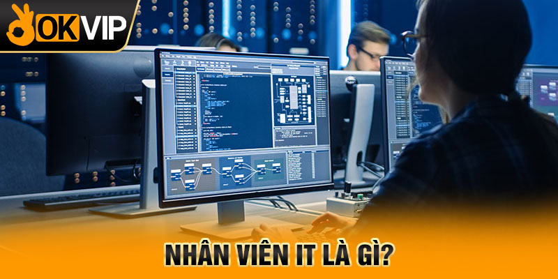 Nhân viên IT là gì?