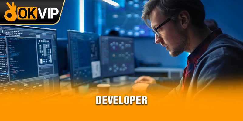 Developer